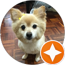 Pauline Wong profile picture